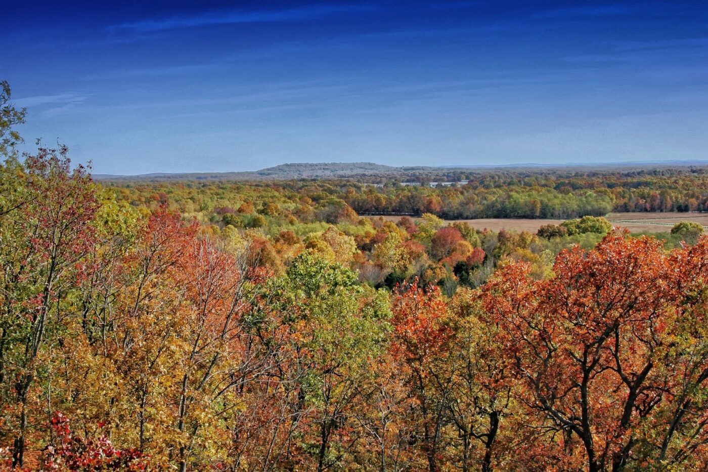 LASIK en Pine Bluff, AR TLC Laser Vision Centers