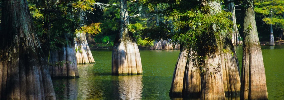 LASIK en Silsbee, TX